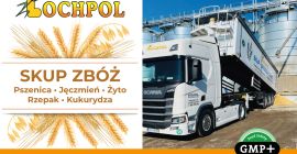 KUPIĘ PSZENICĘ , JĘCZMIEŃ , PSZENŻYTO, RZEPAK, KUKURYDZA. ODBIÓR