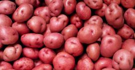 I buy red potatoes in a minimum quantity of