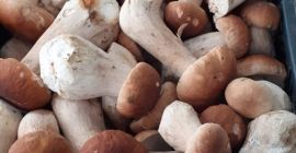 Dobry dzień. Jesteśmy firmą ze Słowacji, która od 2003