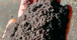 Sprzedam śrutę słonecznikową, makuch Sprzedam śrutę słonecznikową, makuch słonecznikowy, sojowy, rzepakowy z dostawą