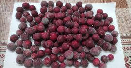 Głęboko mrożone wiśnie (IQF), w kartonach 10 kg. Do
