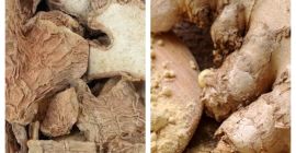 Oferujemy naturalne suszone kawałki imbiru z lasów deszczowych Afryki