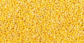 Oferujemy płatki zbożowe własnej produkcji: - Groch żółty krojony