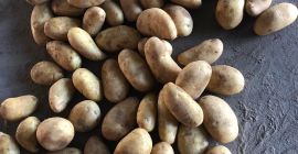 Nasza firma pracuje z wieloma odmianami owoców i warzyw.