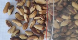 Orzechy brazylijskie rozmiar medium oraz lamane. pakowane w kartonach