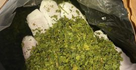 CENA PROMOCYJNA. Oferujemy na sprzedaż suszoną natkę pietruszki. Czystość