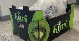 Jesteśmy producentem kiwi, a założona przez nas firma zajmuje
