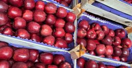 Firma polish-vegetables.eu oferuje cebulę. Kaliber 50+ w workach 15