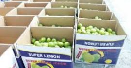 Sprzedam Tahiti Limes Grade 1 prosto od producenta. Minimalne