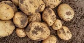 [ ENG ]Good morning, I have large quantities of