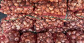 Cebula Rumuńska Pakowane w worki 10 KG