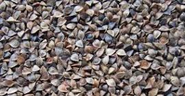 SPRZEDAM GRYKE 6 TON W BIG-BAGACH Z 2022 ROKU