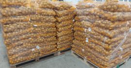 We have many seed size (30-45mm) potatoes for sale.
