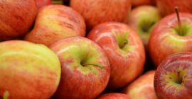Agro cars LTD oferă mere de diferite soiuri de