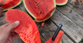 Jesteśmy producentem melon&oacute;w, duże ilości SC ADEMNEL PROD SRL