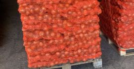 Sprzedam cebulę wyprodukowaną w Serbii w 2024 roku, pakowaną