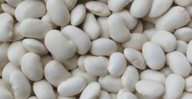 Witam posiadamy na sprzedaż fasolę jaś karłowy , rozmiar