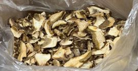 W ofercie posiadamy grzyby leśne (borowiki, kurki). Suche lub