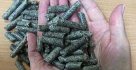 Oferujemy wysłodki buraczane granulowane bez dodatków w Big Bagach
