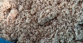 Sprzedam mak węgierski.