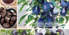 Sprzedaż świeżych i smacznych śliwek Zajmujemy się sprzedażą śliwek