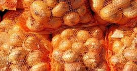 Sprzedam cebulę białą pakowaną w worki po 5, 10,