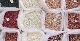 Ukraińska firma Beans Natur Product specjalizuje się w uprawie