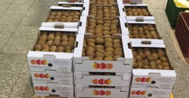 Sprzedam premium kiwi Hayward z IranuImport kiwi (80-100 g)