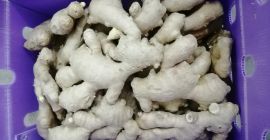 Imbir Chiński klasa pierwsza. W kartonach po 12,5kg, dostępny