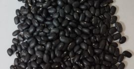 Fasola czarna 900 ton 460-480 sztuk na 100 gram