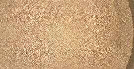 EINKORN, CERTYFIKAT BIO