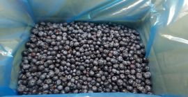 Sprzedam MROŻONĄ borówkę amerykańską. Sortowana optycznie Karton 10 kg,