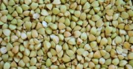 Organiczna, bardzo wysokiej jakości łuskana gryka, zbiór 2024. Certyfikat