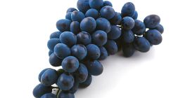 Wysokiej jakości winogrona „Moldova” – świeże produkty premium z