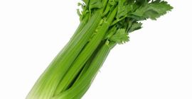 Oferuję świeży seler naciowy (Apium Graveolens), chrupiące i pożywne
