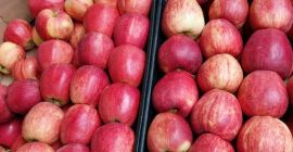 Hello. I am selling organic apples and organic pears