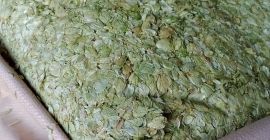 Sprzedam chmiel ,hops,( SZYSZKĘ CHMIELU) zbiór 2024r.