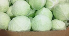 Sprzedam kapustę białą marketowa kaliber 1-4kg opakowanie karton box