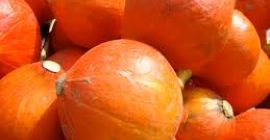 Szukamy organicznej dyni Hokkaido. Proszę złożyć ofertę.