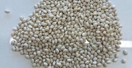 Dzień dobry! Drodzy klienci, Jesteśmy firmą: FLAX TRADE GROUP