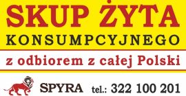 Skupujemy żyto o parametrach konsumpcyjnych: odmiany hybrydowe, dorodne i