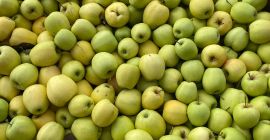jabłko golden delicious