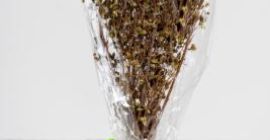 Oregano ORGANICZNE w pęczkach 30g Nasze oregano to oregano