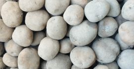 Sprzedam ziemniaki jadalne vineta kaliber 50+ bardzo ładne, ilosci