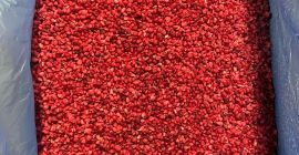 Firma OOO &quot;SadBerry&quot; zajmuje się sprzedażą malin Gris. Czyszczenie