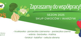 Chłodnia Agram S.A. w Lublinie zakupi rabarbar malinowy z