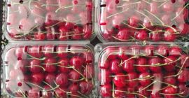 Sweet cherries wholesale from Uzbekistan, available in different varieties