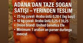 Wir verkaufen Frische Zwiebeln aus Adana Türkei Zu selbst