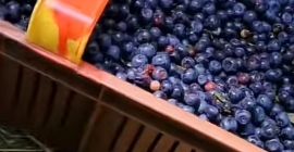 Dzień dobry zbiory odbędą się w 2025 roku są