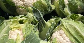 Do sprzedania świeży kalafior 6szt/karton Paleta/65kartonów Lokalizacja: Prinsenbeek, Noord